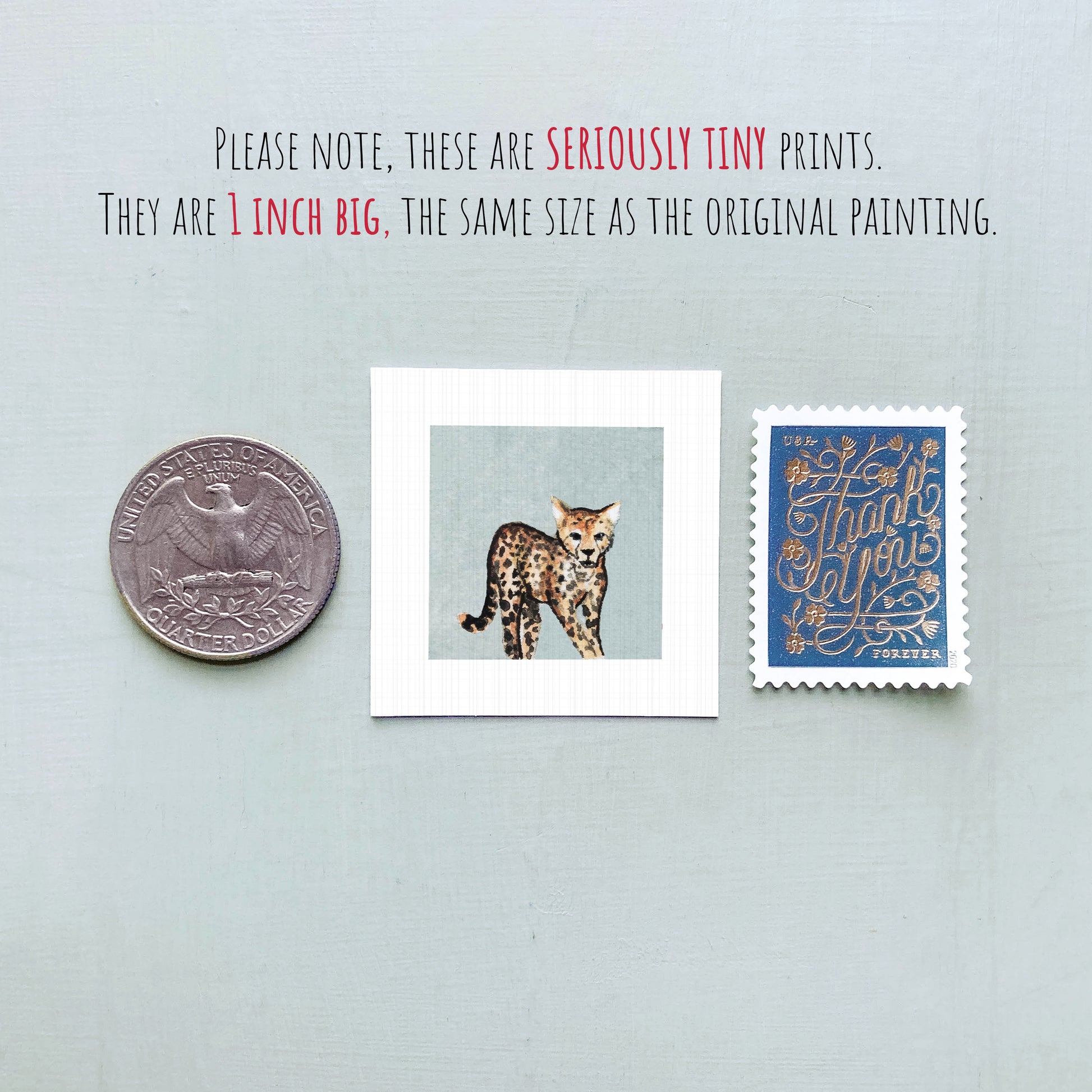 a collection of three small items: a quarter, a framed print of a cat, and a postage stamp.