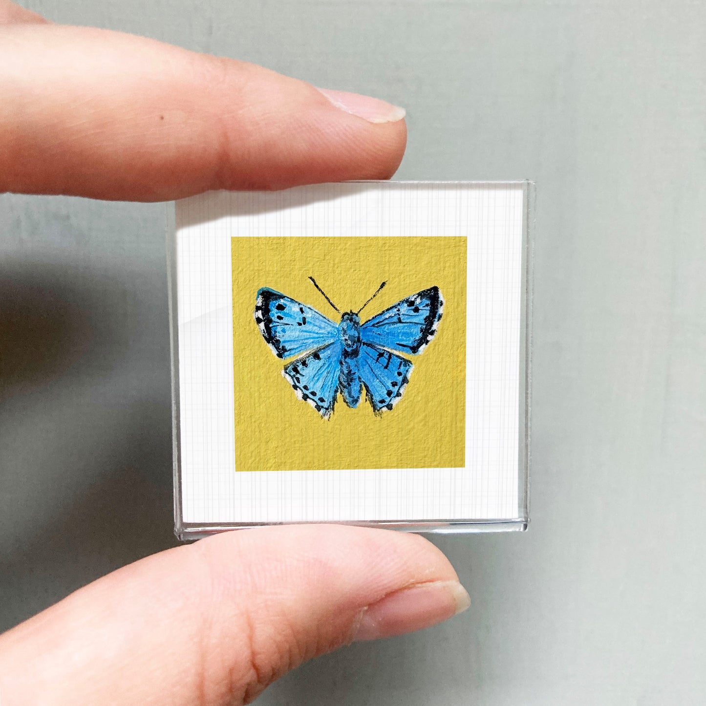 A person's hand is holding a small square with a vibrant blue butterfly image on it.