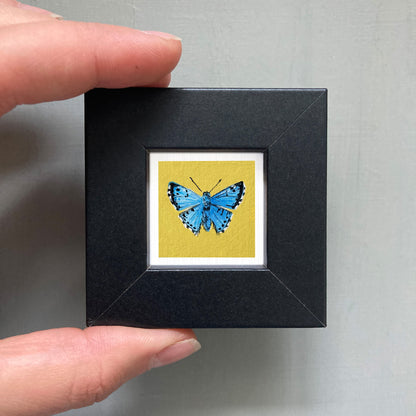 A person's hand is holding a small black frame containing a framed image of a blue butterfly.