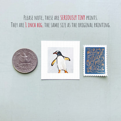 a penguin, a United States quarter, and a postage stamp, all placed next to each other.