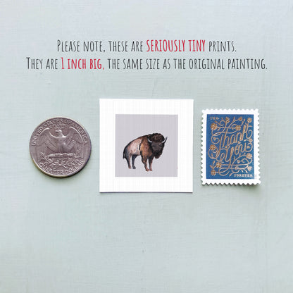 a collection of three small items: a quarter, a square print of a bison, and a postage stamp.