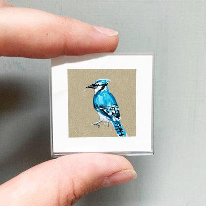 Mini 1" Blue Jay Bird Print Tiny Gouache Art PRINT