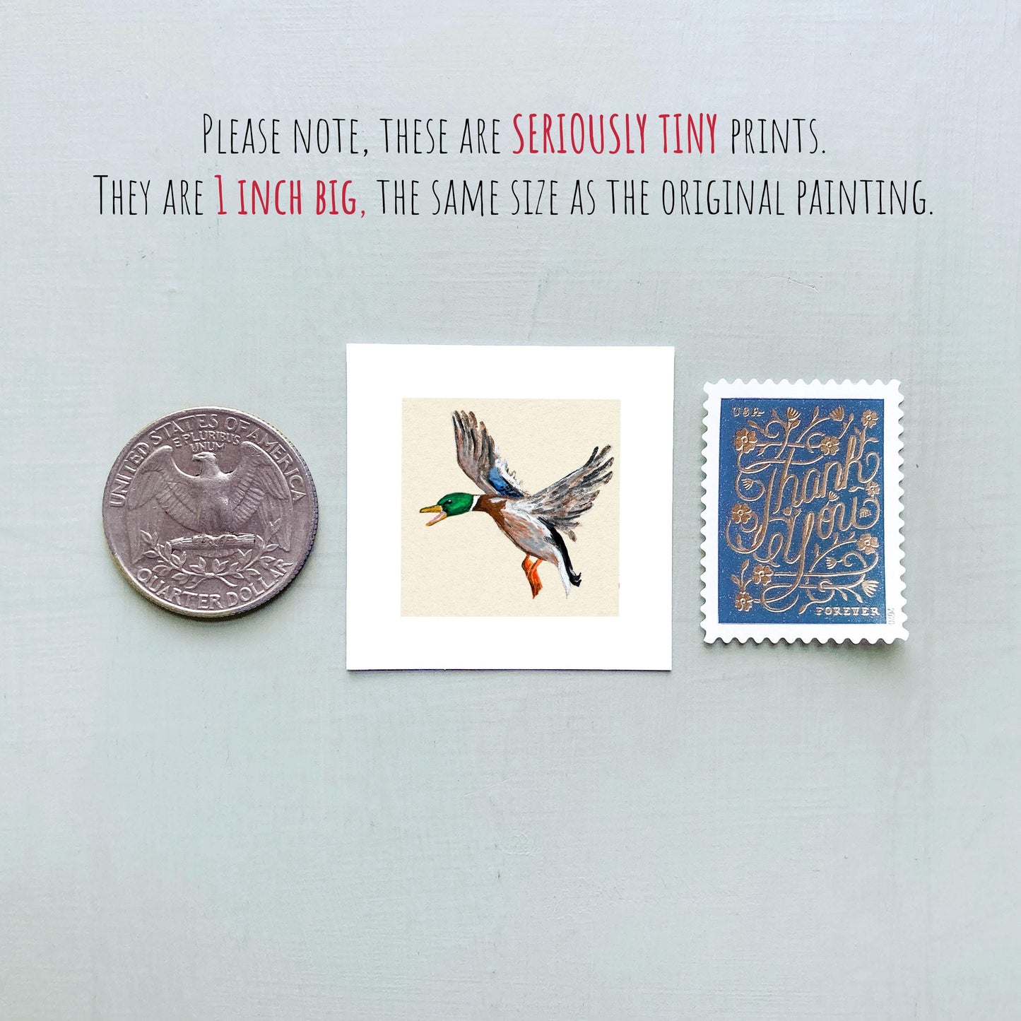 Mini 1" Mallard Duck Bird Print Tiny Gouache Art PRINT