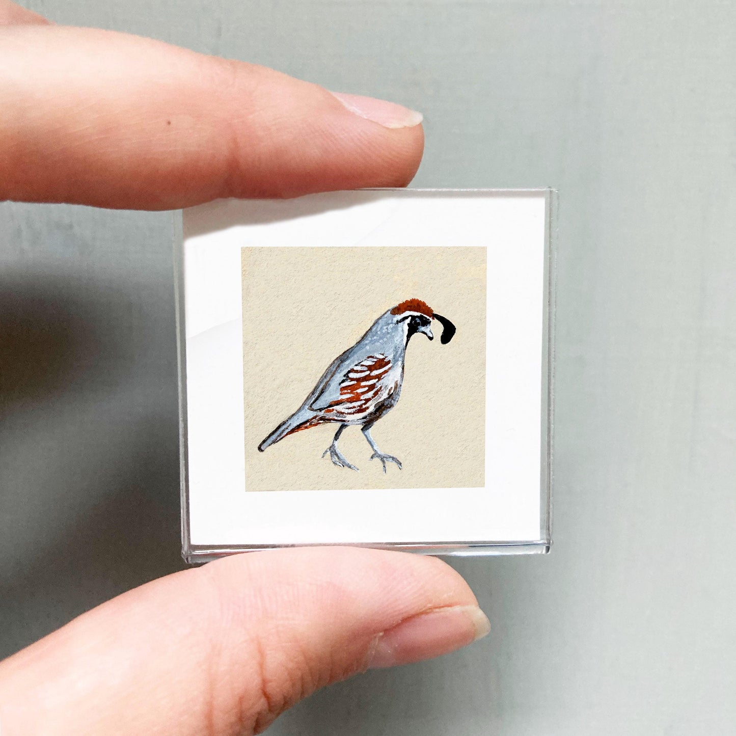 Mini 1" Quail Bird Print Tiny Gouache Art PRINT