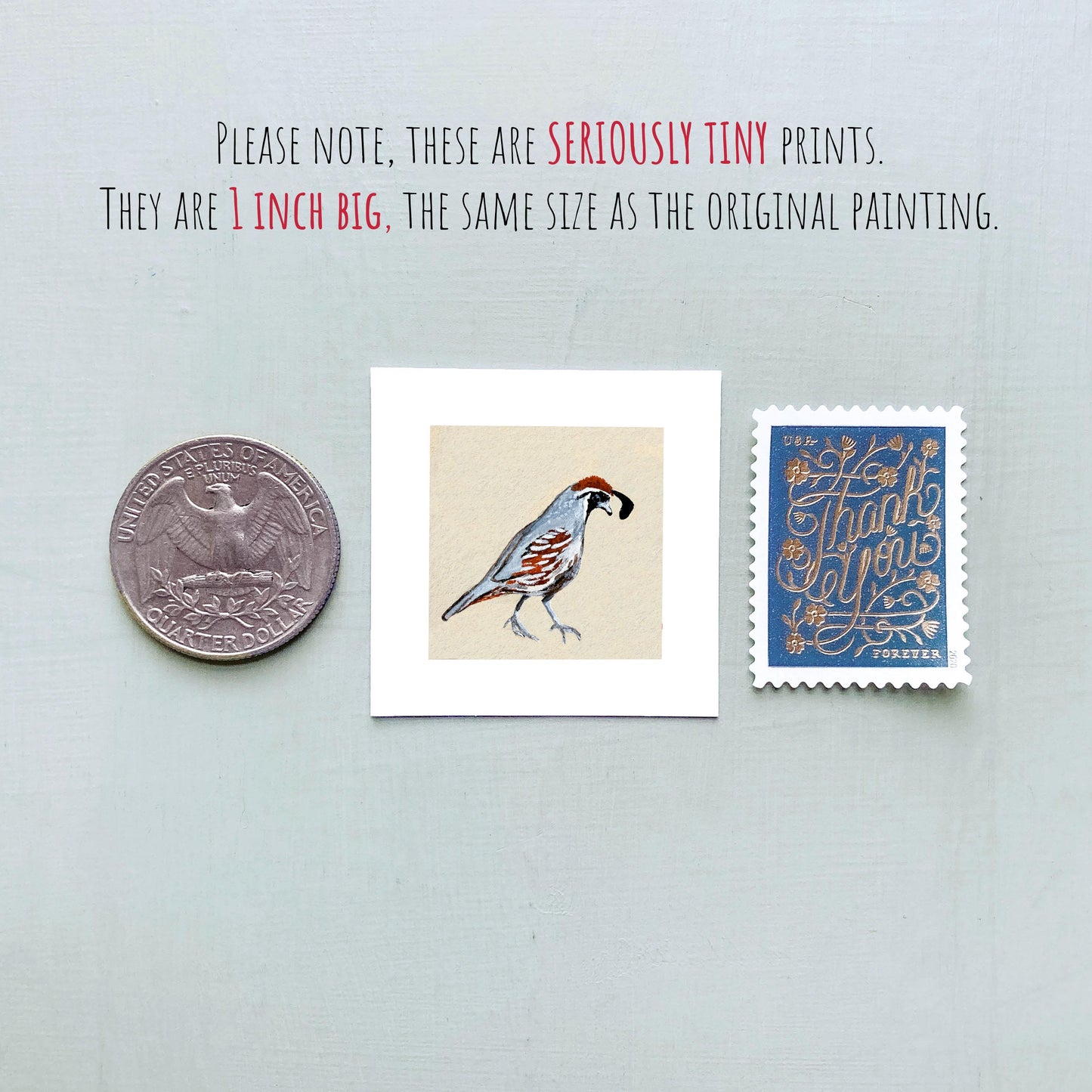 Mini 1" Quail Bird Print Tiny Gouache Art PRINT