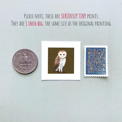 Mini 1" Barn Owl Bird Print Tiny Gouache Art PRINT