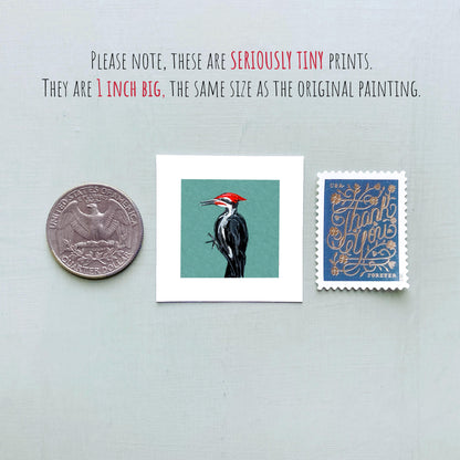 Mini 1" Pileated Woodpecker Bird Print Tiny Gouache Art PRINT