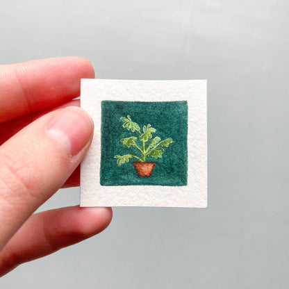 ORIGINAL Mini 1" Schefflera Umbrella Plant Watercolor Painting