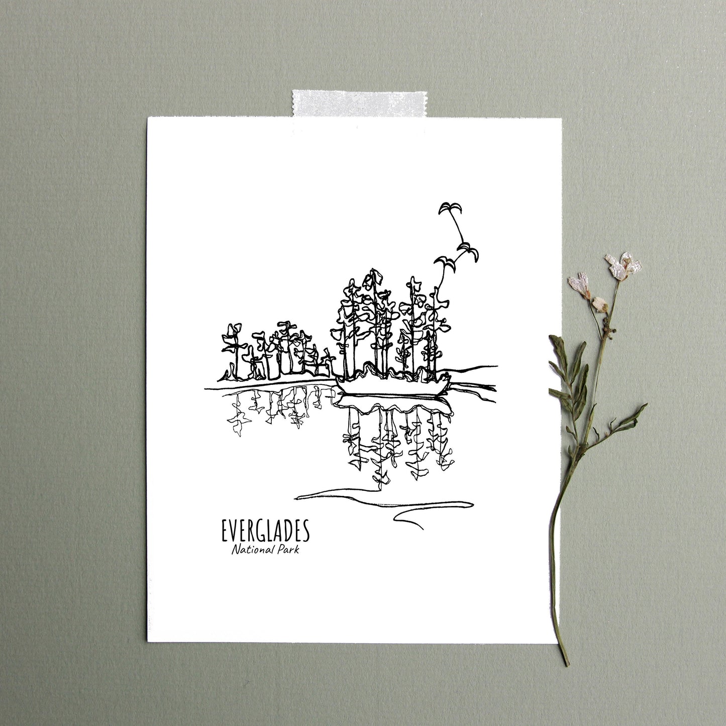 Everglades National Park, Florida Continuous Line Print