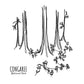 Congaree National Park, South Carolina Continuous Line Print