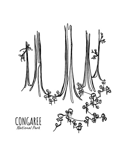 Congaree National Park, South Carolina Continuous Line Print